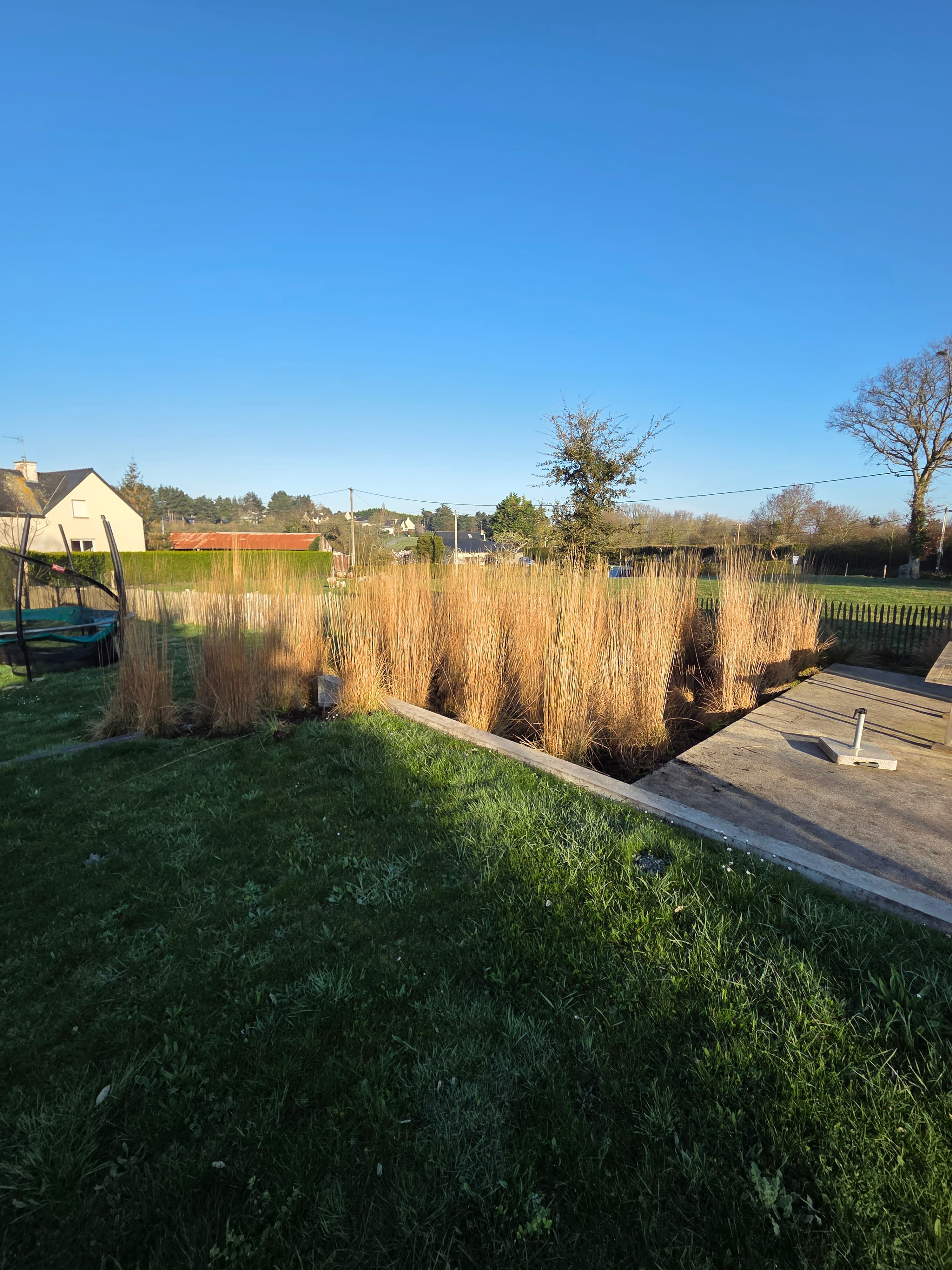 Parce quun jardin cest plus quun decor aujourd'hui cest un massif de graminées remis au propre