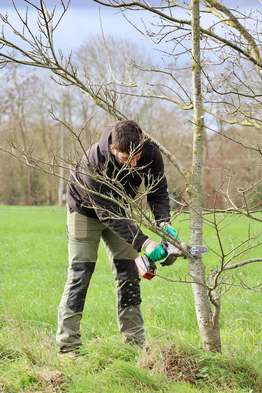 Parce qu'un jardin c'est plus qu'un décor aujourd'hui jai travaillé sur une haie bocagère et une charmille à entretenir avec précision