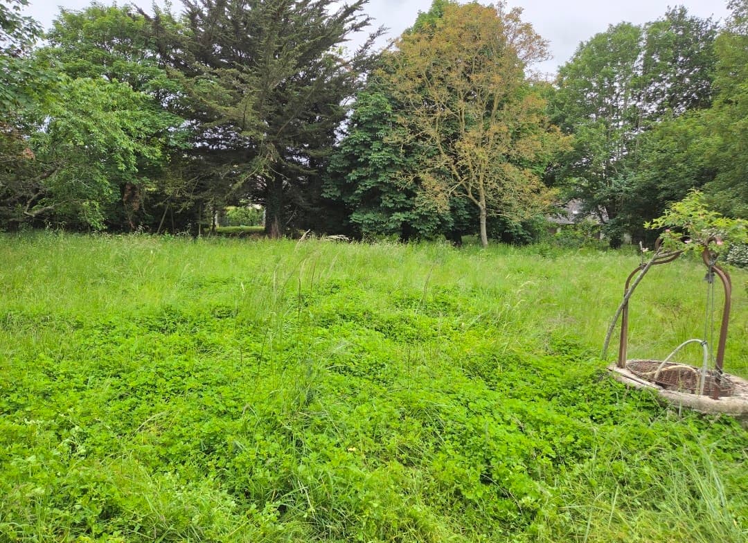 Parce qu'un jardin c'est plus qu'un décor aujourd'hui j'ai fauché un grand terrain en pleine campagne avec une attention particulière portée à la biodiversité