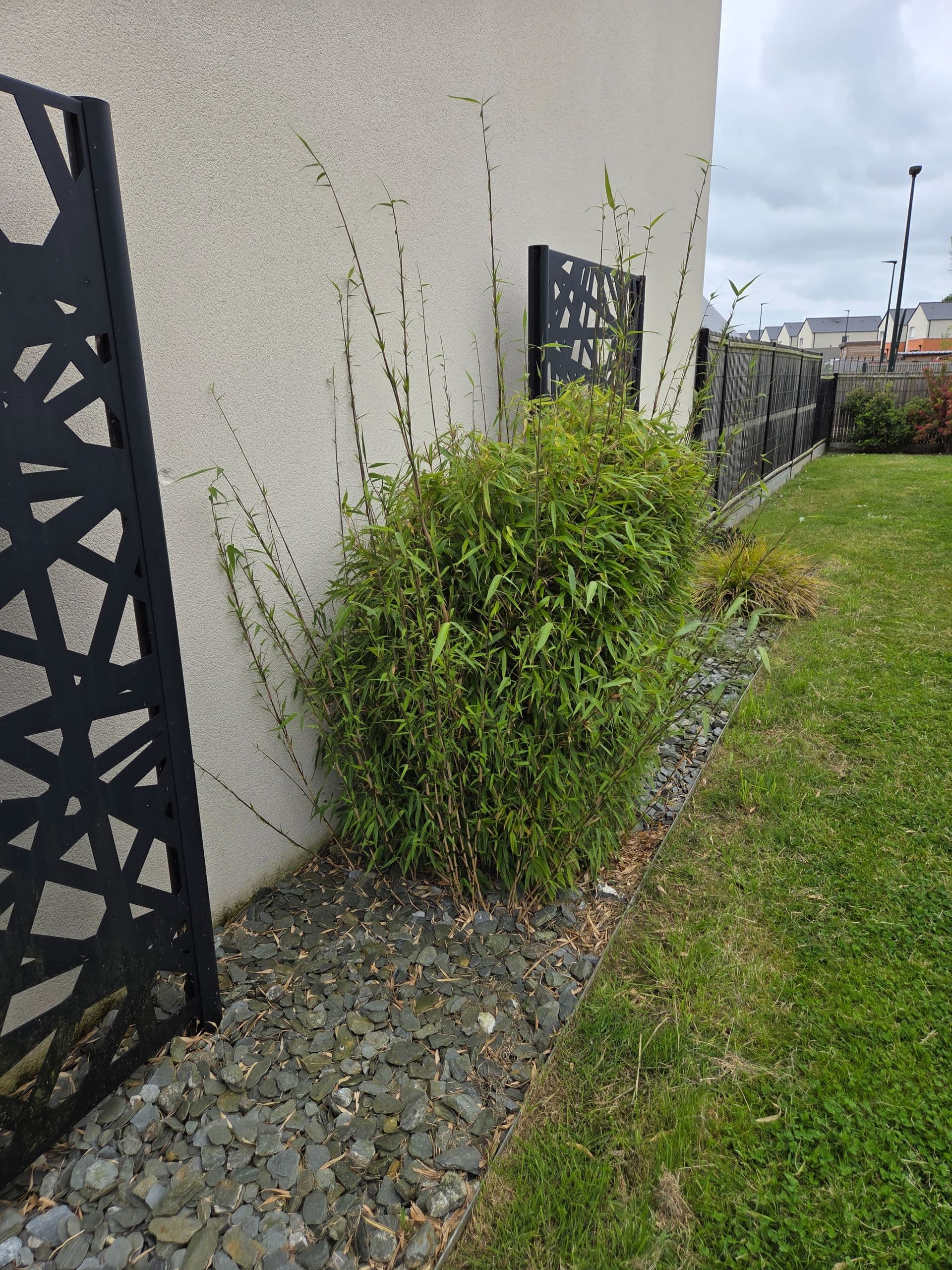 Parce qu'un jardin c'est plus qu'un décor aujourd'hui on a arraché des bambous envahissants et réaménagé tout l'espace