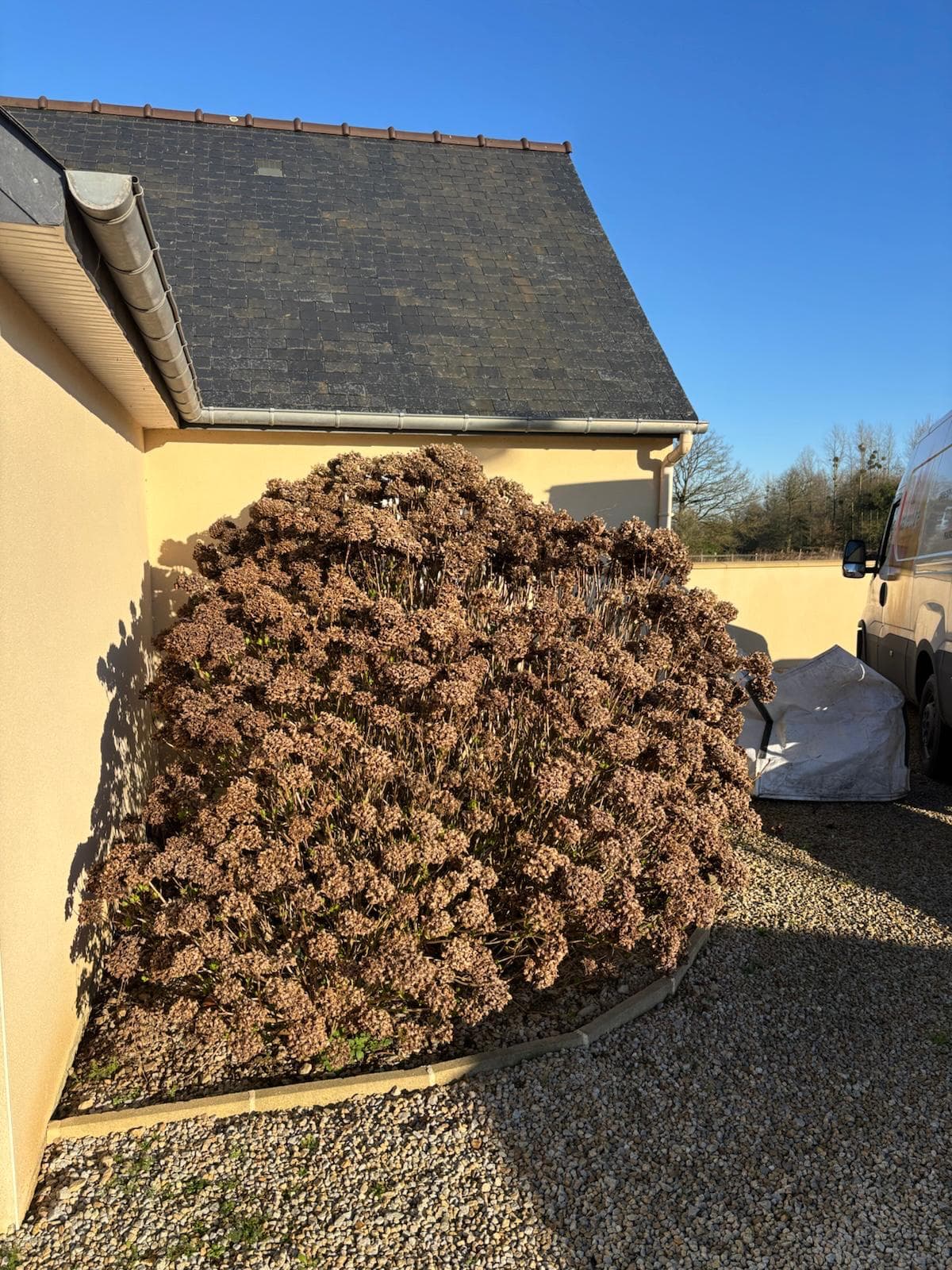 Parce qu'un jardin c'est plus qu'un décor aujourd'hui j'ai travaillé sur un espace qui méritait de retrouver son harmonie avec un entretien saisonnier complet autour de l'allée et des arbustes
