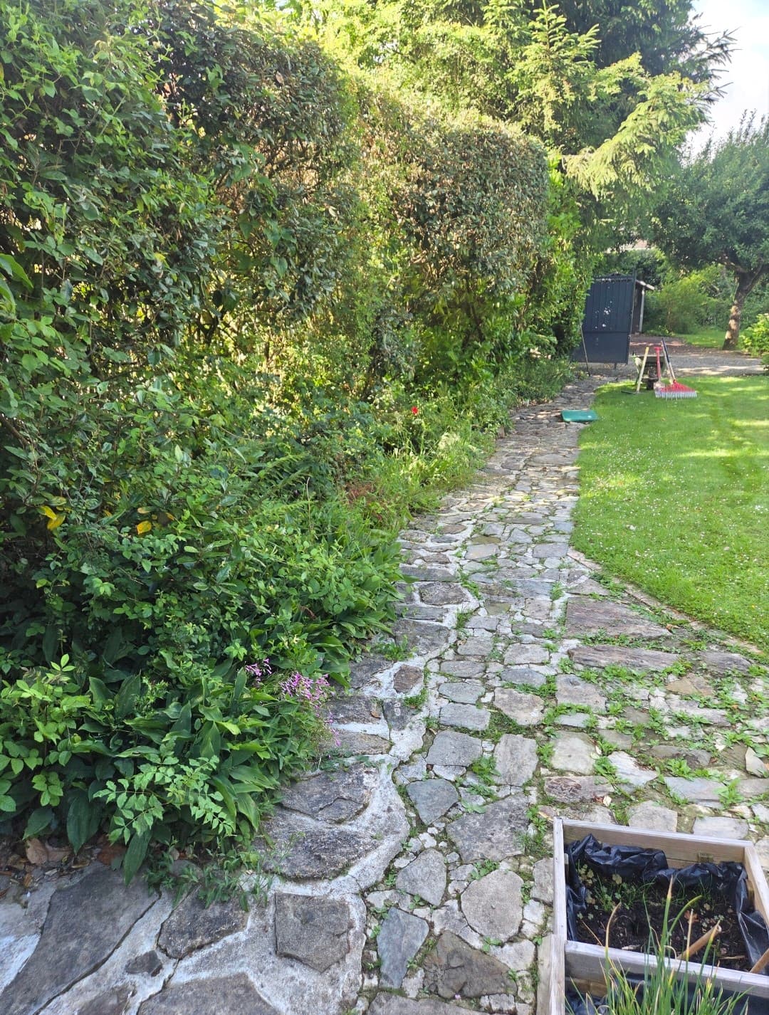 Parce qu'un jardin c'est plus qu'un décor aujourd'hui on a remis en ordre un espace où le lierre et les ronces avaient pris leurs aises