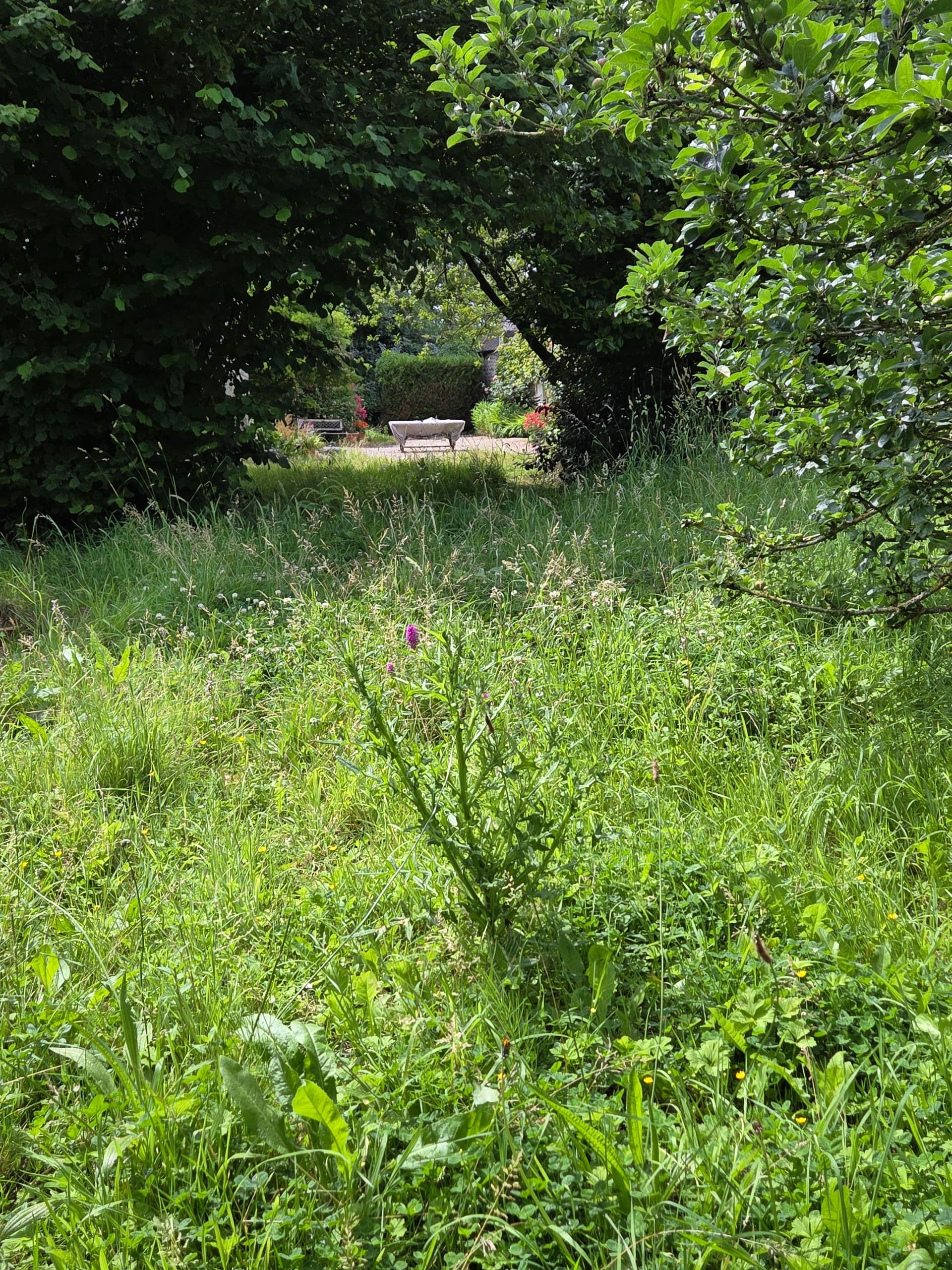 Parce qu'un jardin c'est plus qu'un décor aujourd'hui on a débroussaillé un bel espace verdoyant avant l'arrivée des propriétaires dans leur maison secondaire