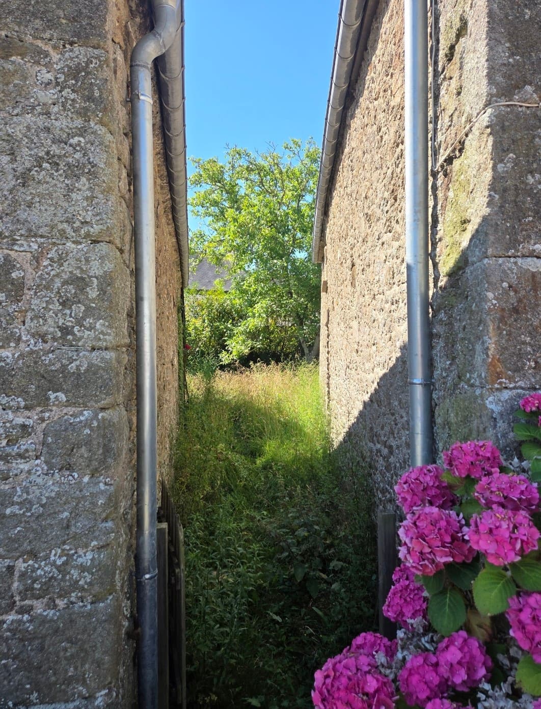 Parce qu'un jardin c'est plus qu'un décor aujourd'hui on a débroussaillé un passage champêtre avant l'arrivée des vacanciers