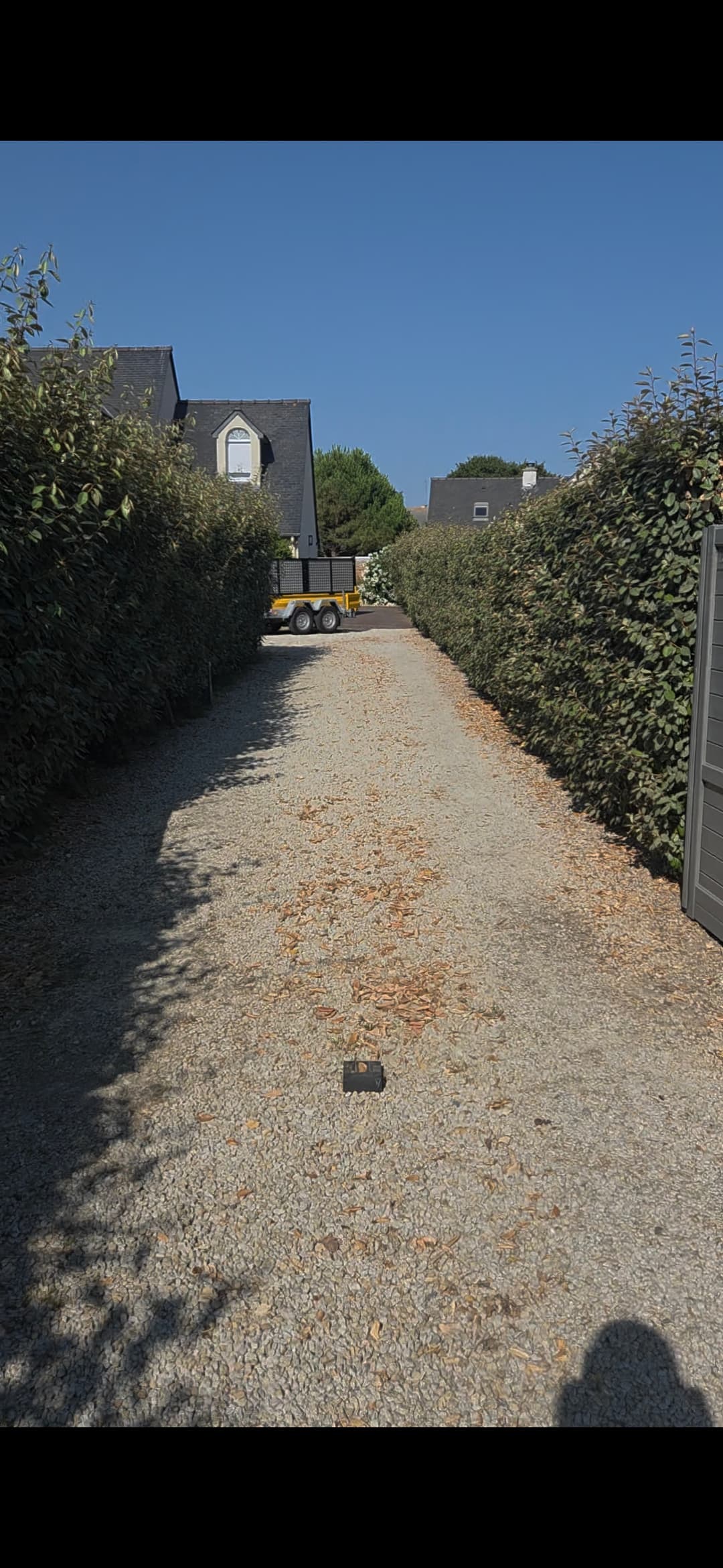 Parce qu'un jardin c'est plus qu'un décor aujourd'hui on a taillé plus de 80 mètres linéaires de haies d'eleagnus pour retrouver des lignes nettes et une allée impeccable