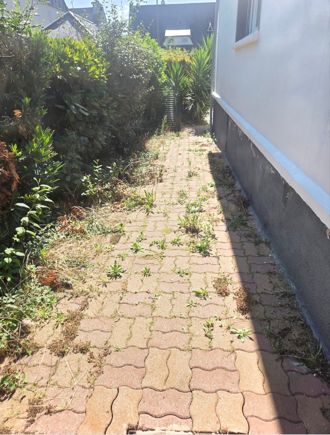 Parce qu'un jardin c'est plus qu'un décor aujourd'hui on a dégagé un chemin pavé