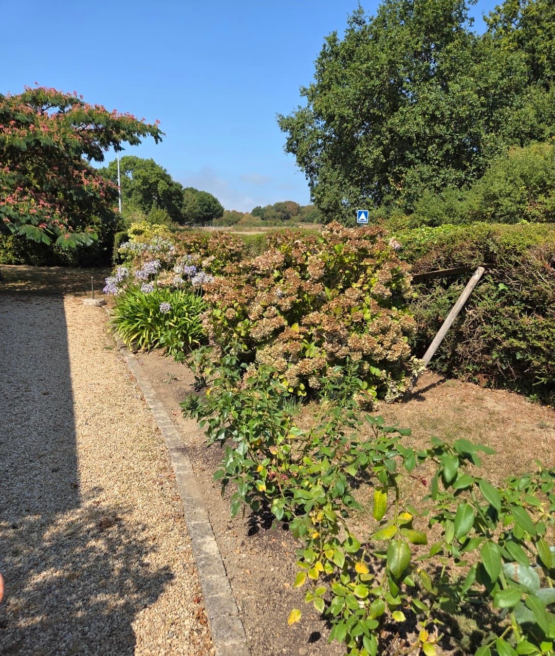 Parce qu'un jardin c'est plus qu'un décor aujourd'hui on a mis en place un paillage naturel pour protéger ton sol et limiter les mauvaises herbes