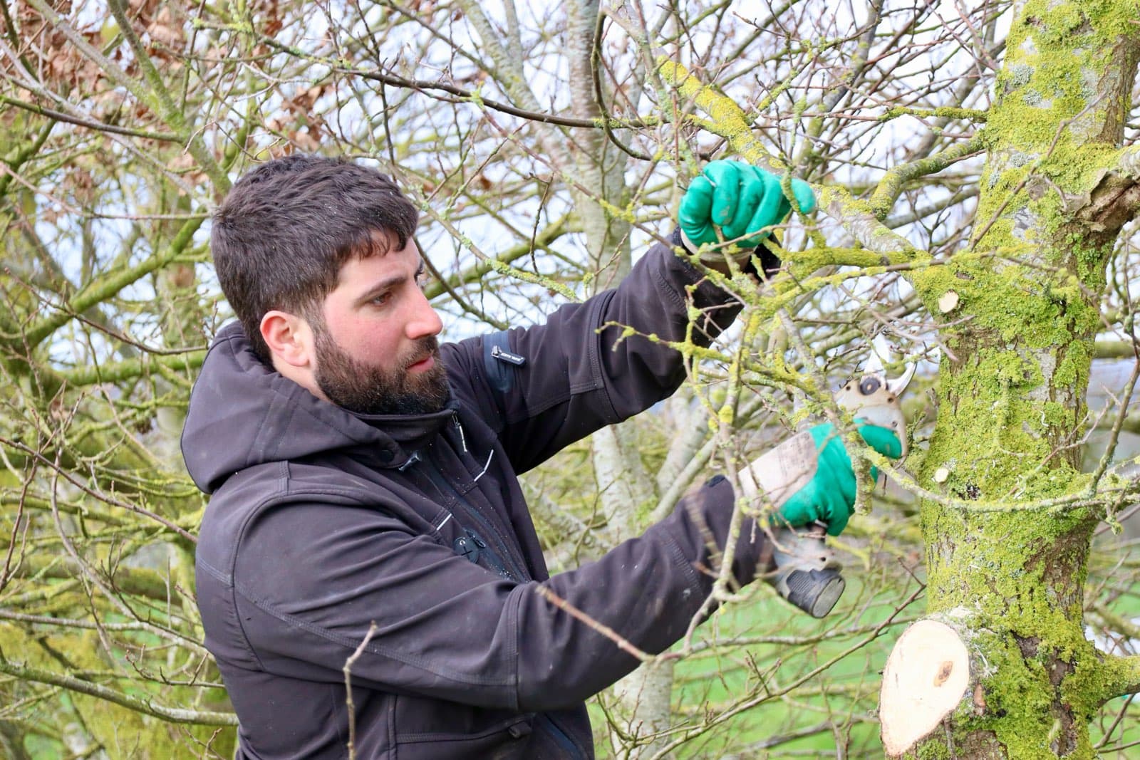 Parce qu'un jardin c'est plus qu'un décor aujourd'hui on a travaillé sur un prunus qui avait besoin d'être guidé après des années de tailles trop sévères
