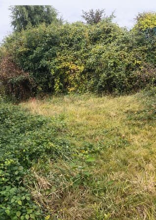 Parce qu'un jardin c'est plus qu'un décor aujourd'hui on a remis de l'ordre dans une haie qui en avait bien besoin à Plerguer